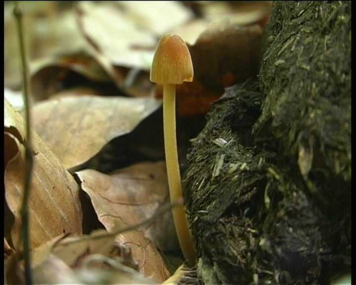 Winkel ( FRA ) 28.08.2004   2 Serie